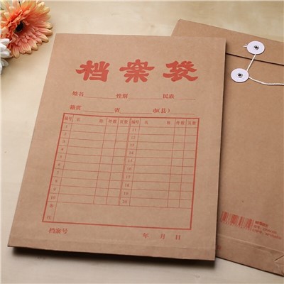 晨光(M&G) APYRAB13 文件袋 1個(gè)裝A4/2.7cm 牛皮紙檔案袋 經(jīng)濟(jì)款文件袋資料袋 標(biāo)書合同文件整理收納袋